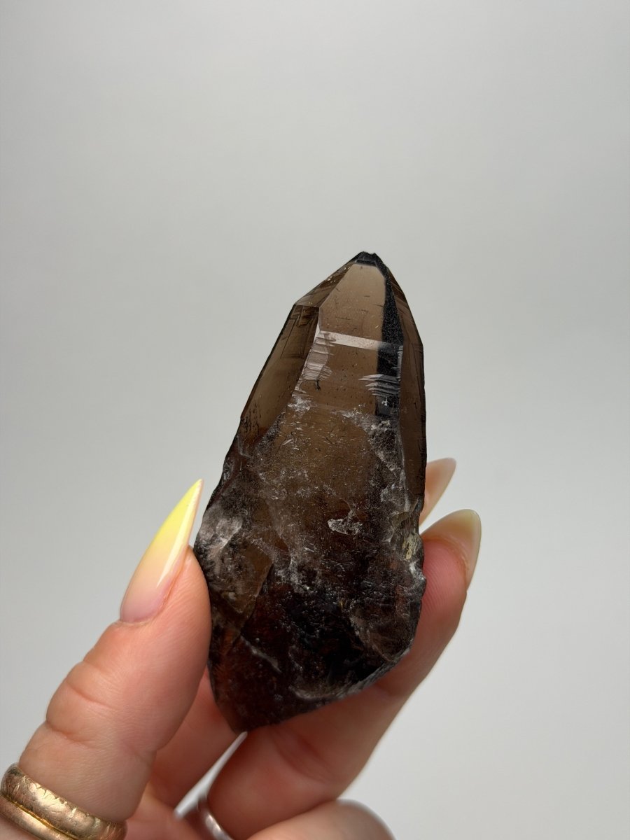 Zomba Smoky Quartz Point, Malawi, D Smoky QuartzSouth Africa - Haus of Moss + Moon