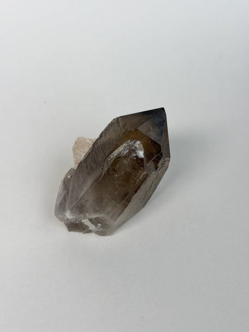 Zomba Smoky Quartz Point, Malawi, E Smoky QuartzSouth Africa - Haus of Moss + Moon