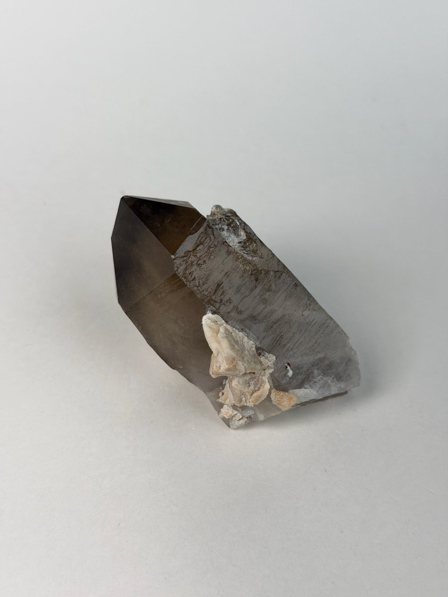 Zomba Smoky Quartz Point, Malawi, E Smoky QuartzSouth Africa - Haus of Moss + Moon