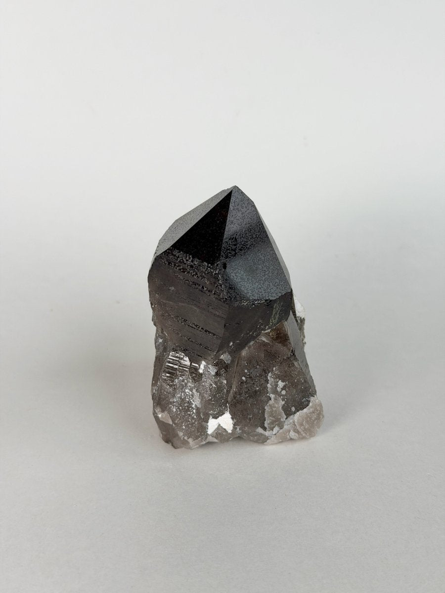 Zomba Smoky Quartz Point, Malawi, F Smoky QuartzSouth Africa - Haus of Moss + Moon