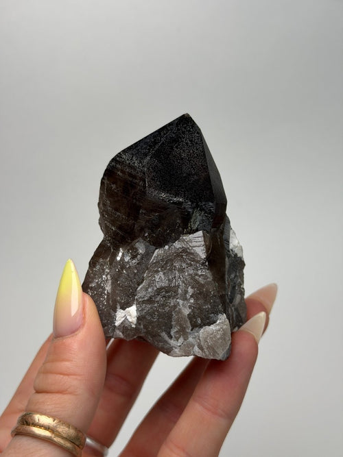 Zomba Smoky Quartz Point, Malawi, F Smoky QuartzSouth Africa - Haus of Moss + Moon