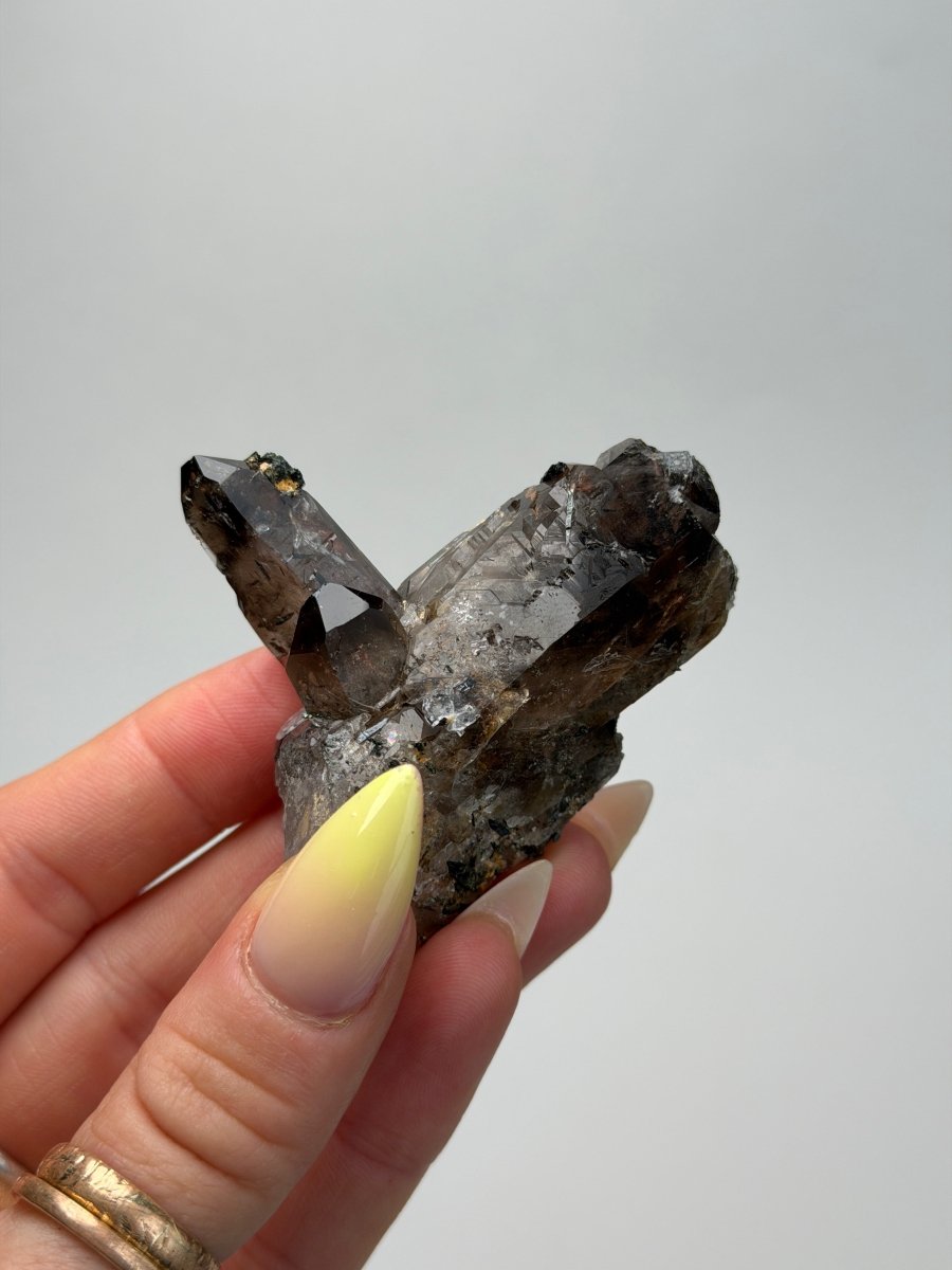 Zomba Smoky Quartz with Aegirine, Malawi, A Smoky QuartzSouth Africa - Haus of Moss + Moon