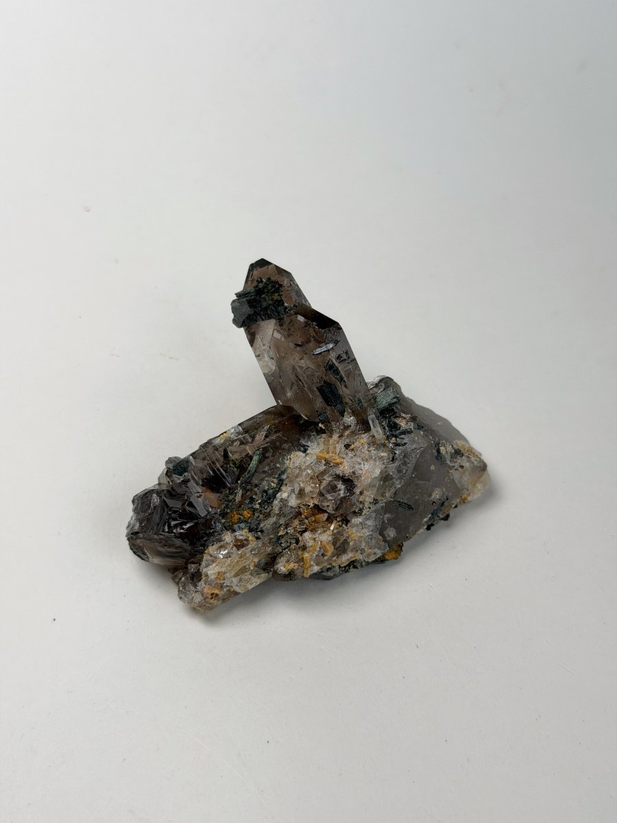 Zomba Smoky Quartz with Aegirine, Malawi, A Smoky QuartzSouth Africa - Haus of Moss + Moon