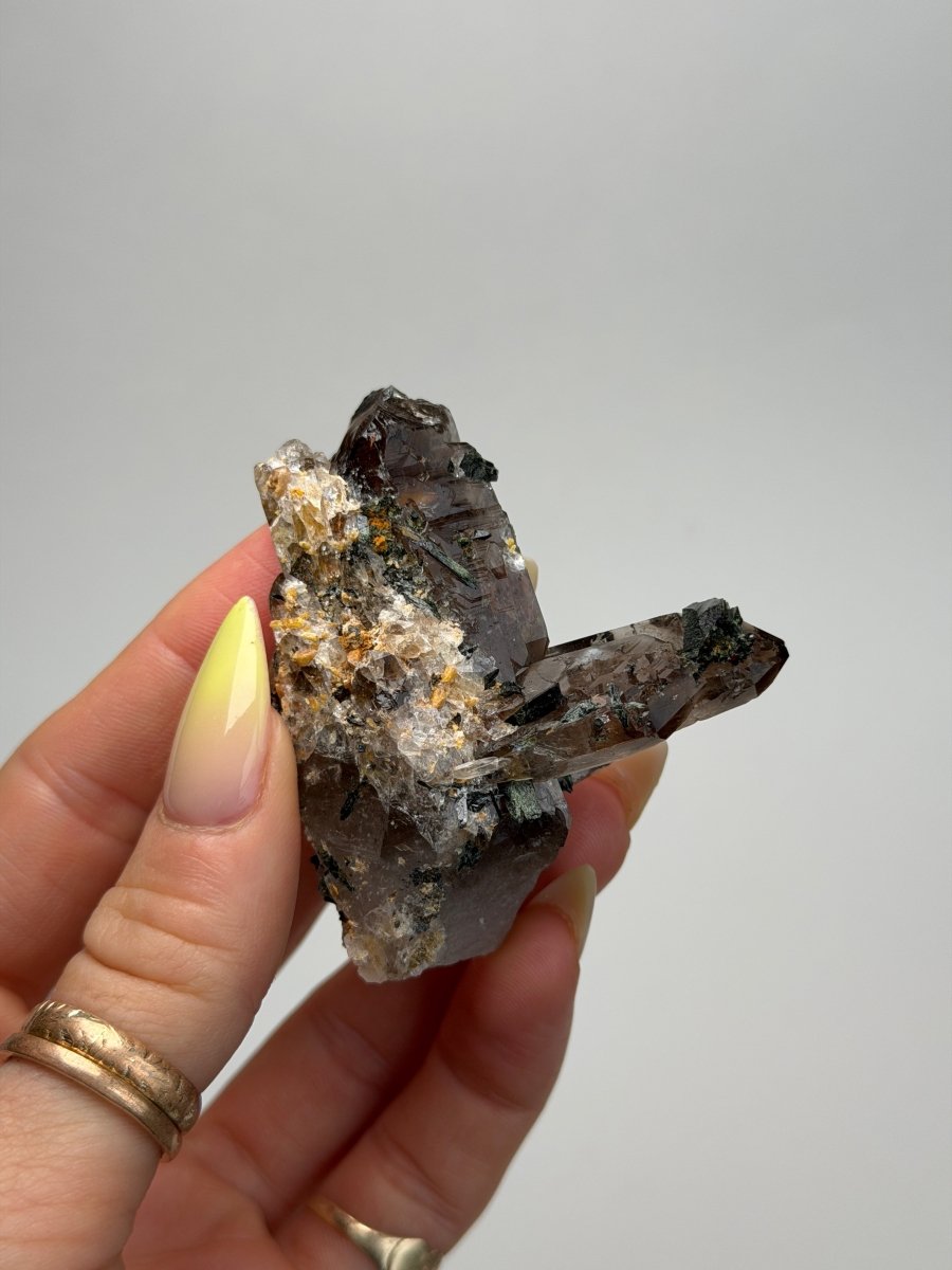 Zomba Smoky Quartz with Aegirine, Malawi, A Smoky QuartzSouth Africa - Haus of Moss + Moon