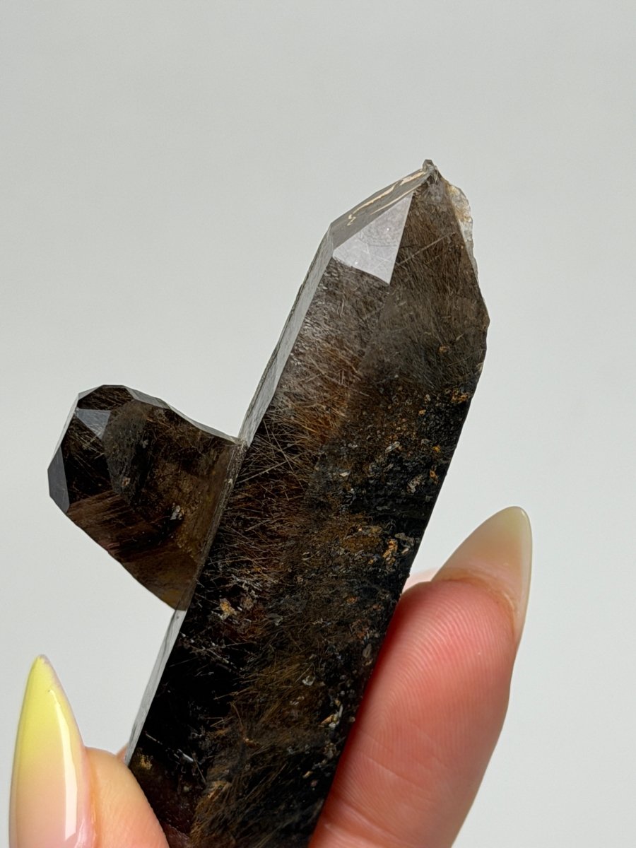 Zomba Smoky Quartz with Rutile, Malawi, B Smoky QuartzSouth Africa - Haus of Moss + Moon